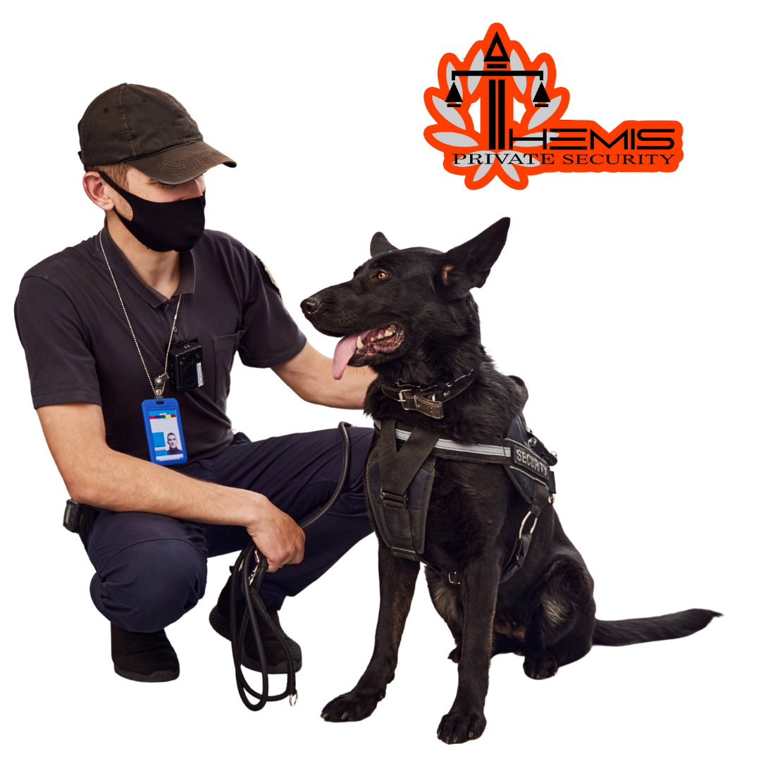 Agents Themis Security à Évreux